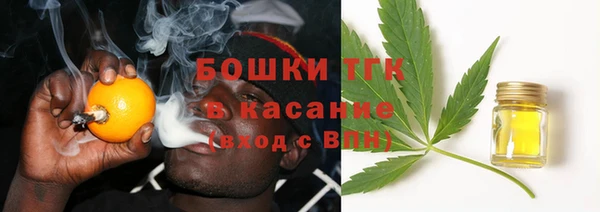 гидра Арсеньев