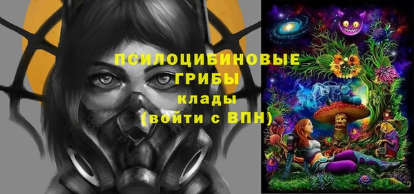 гидра Арсеньев