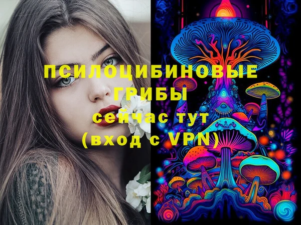круглые Армянск