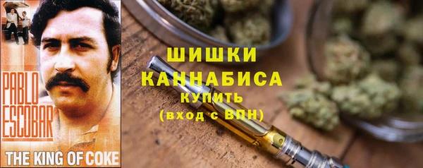 гидра Арсеньев