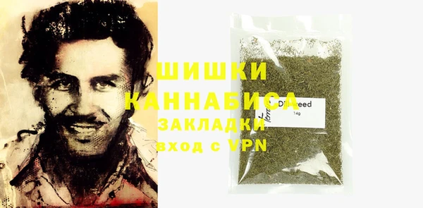 гидра Арсеньев